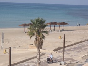 Almog Building