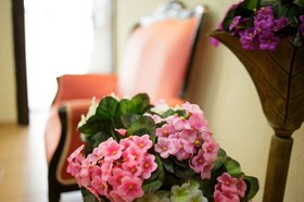 Loui Hotel