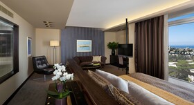 The Dan Carmel Hotel