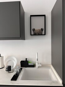 White Door Apartments