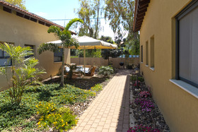 Dolphin Village By Olive