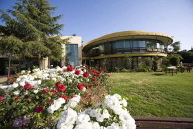 C Hotel The Hacienda Forestview