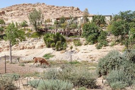 Alpaca Farm