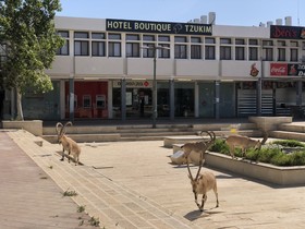 Boutique Hotel By Tzukim