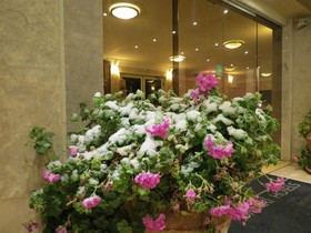 Ramon Suites Hotel