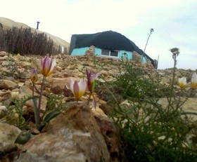 Silent Arrow Desert Lodge - Caravan Park