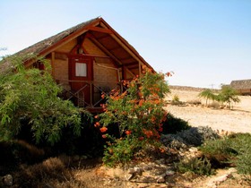 Boker Valley Vineyards Farm