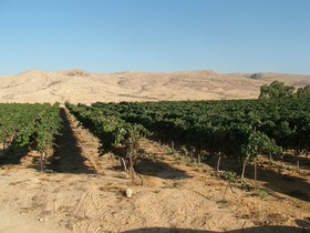Boker Valley Vineyards Farm