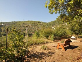 Peleg's Dream House