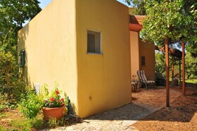 Peleg's Dream House
