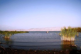 Kinneret Village