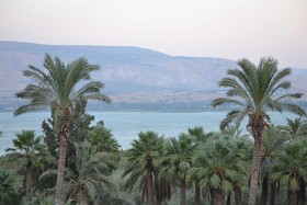 Kinneret Village