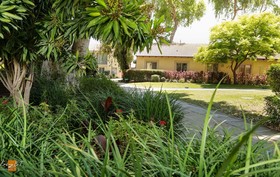 The Ohalo Mansion