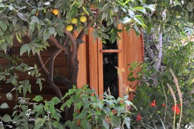 Pina Balev Inn