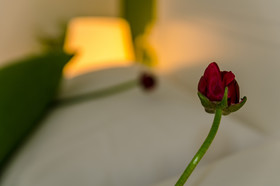 G Hotel Tiberias