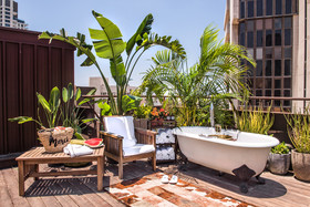 Brown TLV Urban Hotel