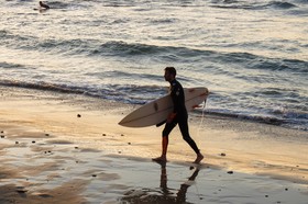 Dave Gordon TLV