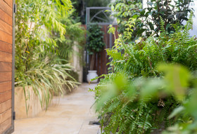 Dizengoff Suites