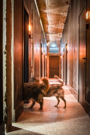 Pixel – An Autonomous Hotel by Loginn