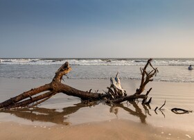 Dindi RVR, A Club Mahindra Associate Resort