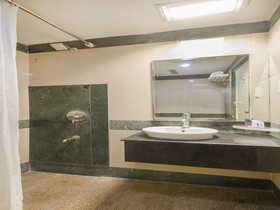 Capital O 10209 Comfort Inn