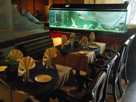 Hotel Savera Residency