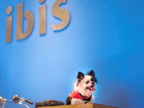 ibis Hyderabad Hitec City