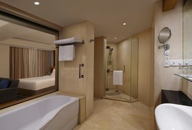 Novotel Hyderabad Convention Centre