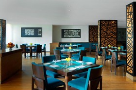 Radisson Blu Plaza Hyderabad Banjara Hills