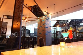 Radisson Blu Plaza Hyderabad Banjara Hills