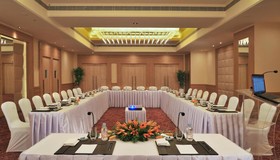 Radisson Hyderabad - HITEC