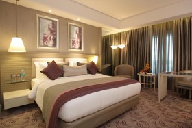 Radisson Hyderabad - HITEC