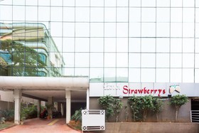 Treebo Strawberrys