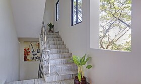 Treebo Trend Lavish Palms