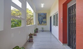 Treebo Trend Lavish Palms
