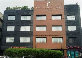 The Purple Leaf Hotel