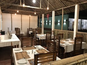 Jungleciti House