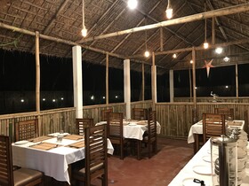 Jungleciti House