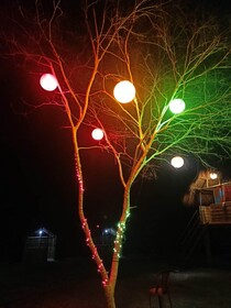 Homocation Beach Eco Camp