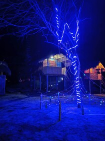 Homocation Beach Eco Camp