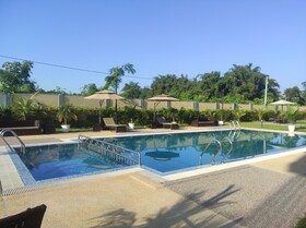 Palm Resorts
