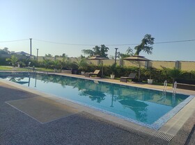 Palm Resorts