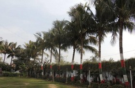 Buddha International