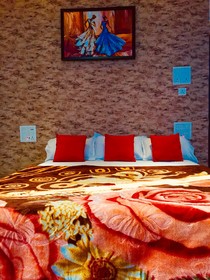 Hotel Vidhata Palace