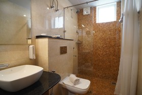 Hotel Clarks Inn Purnea