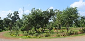 Soumya Resorts