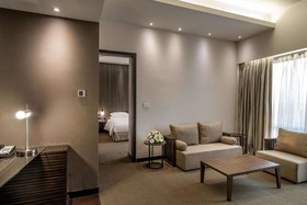 Hyatt Raipur