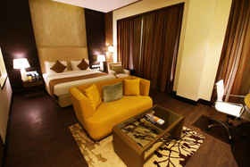Sayaji Hotel Raipur