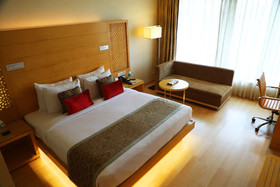 Sayaji Hotel Raipur