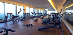 Sayaji Hotel Raipur